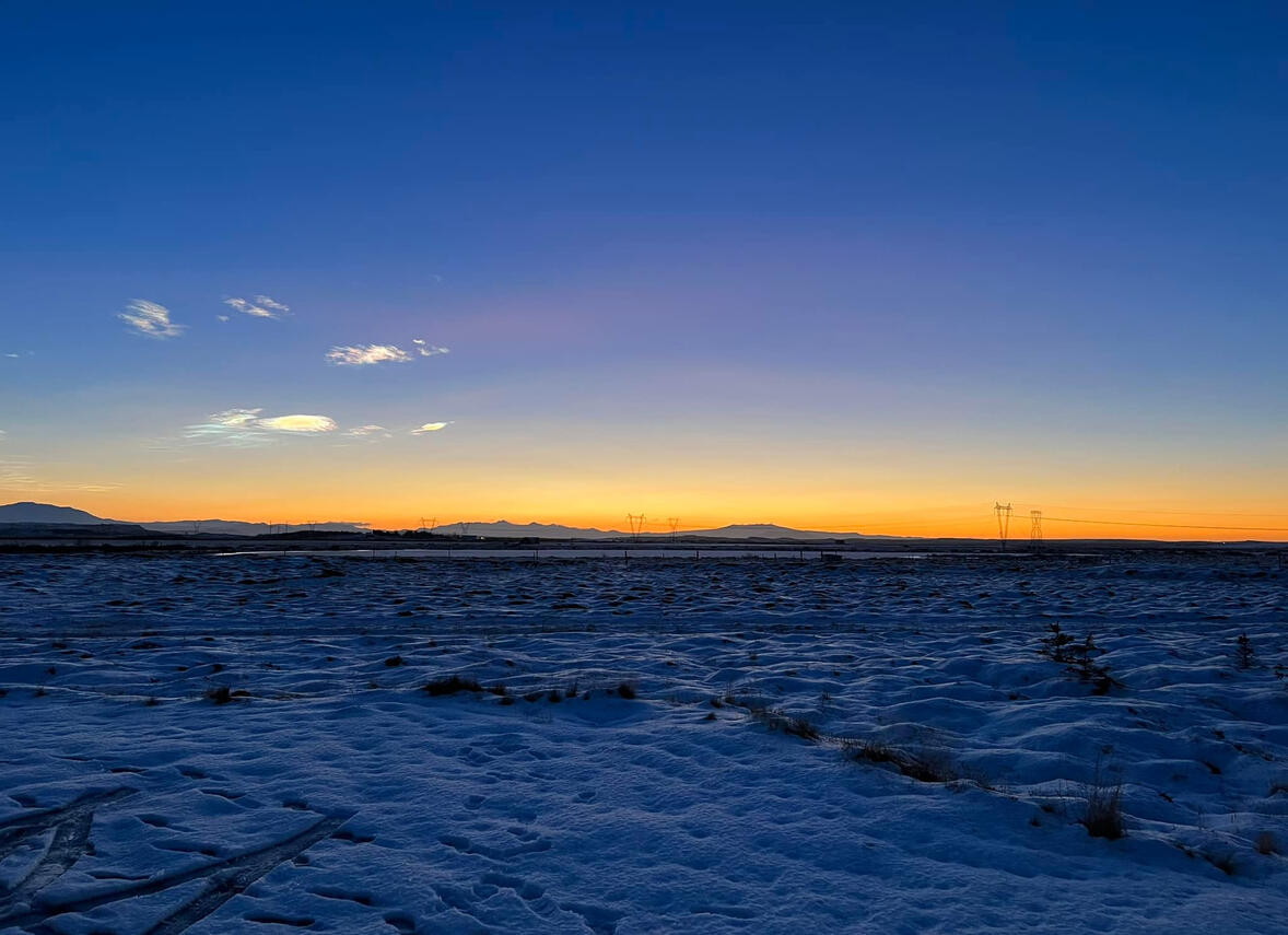 Winter morning horizon